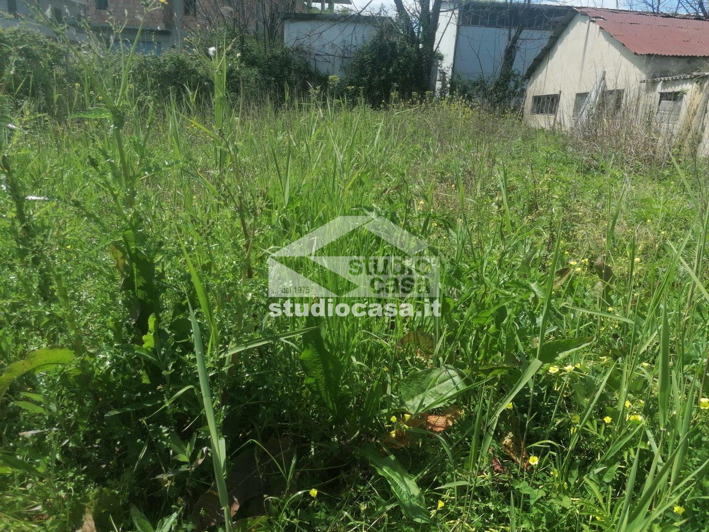 Casa Unifamiliare in vendita a Rocca di Neto