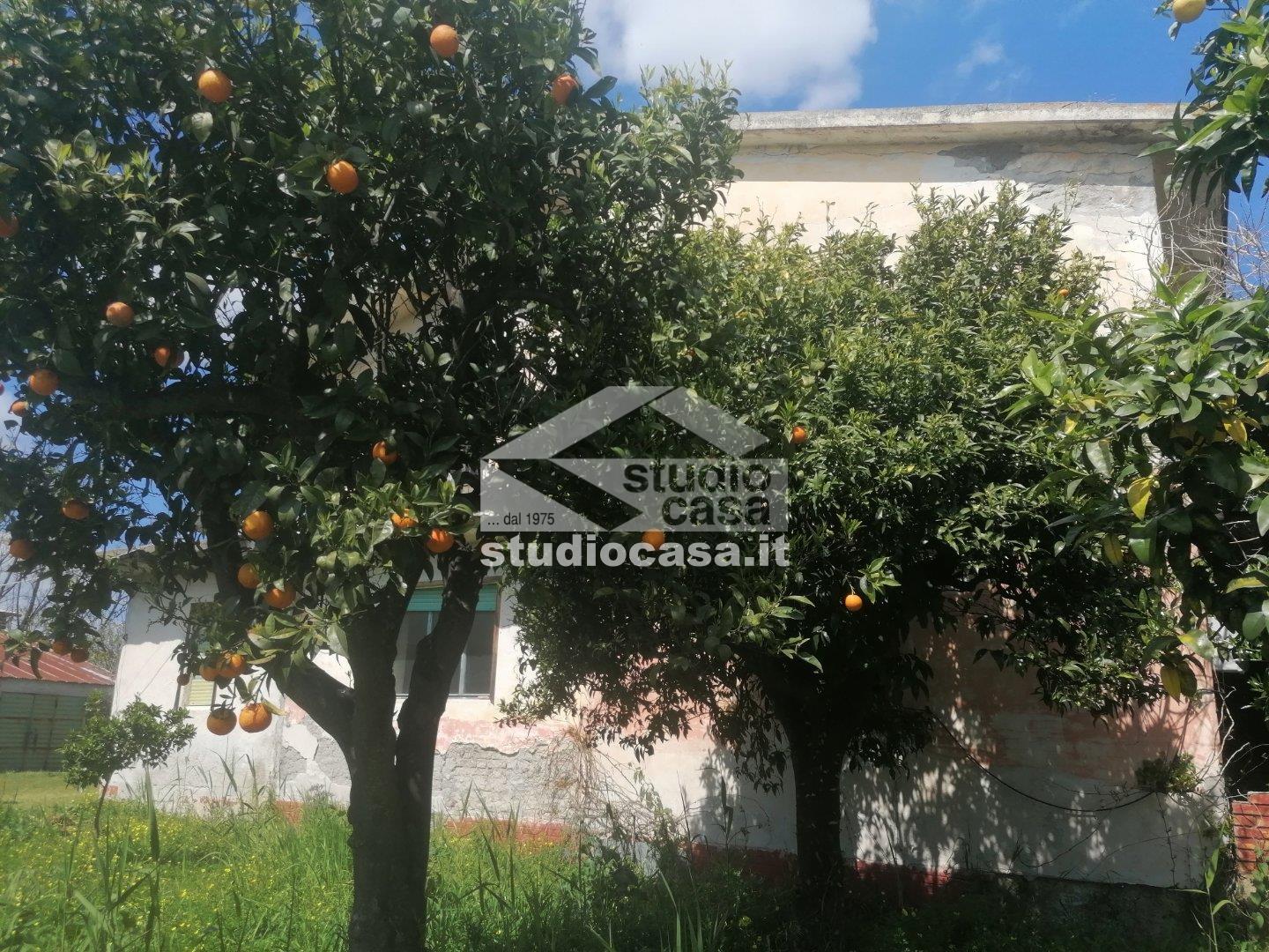 Casa Unifamiliare in vendita a Rocca di Neto