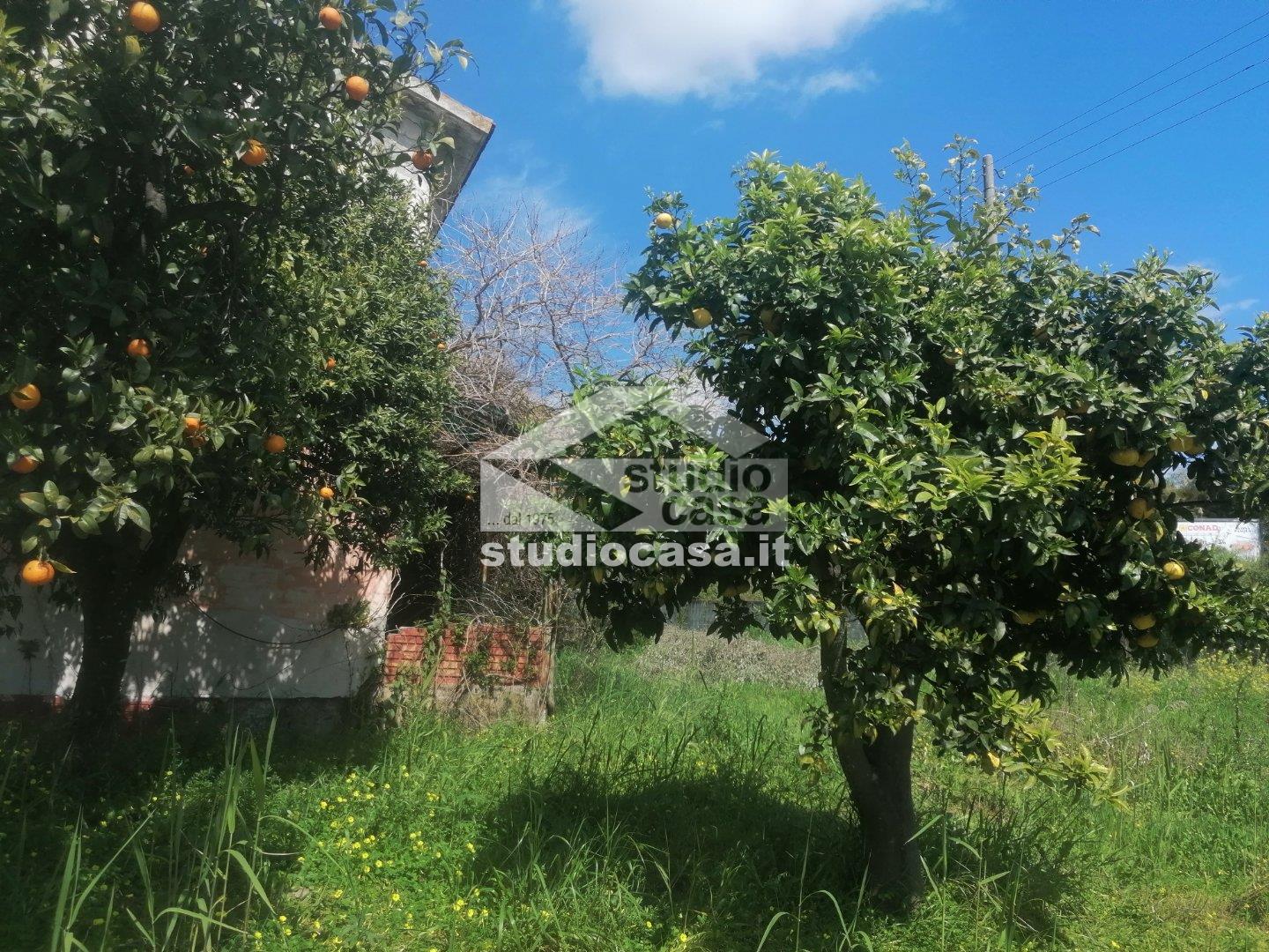 Casa Unifamiliare in vendita a Rocca di Neto