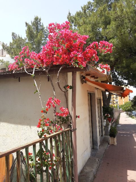 Magazzino in affitto a Crotone