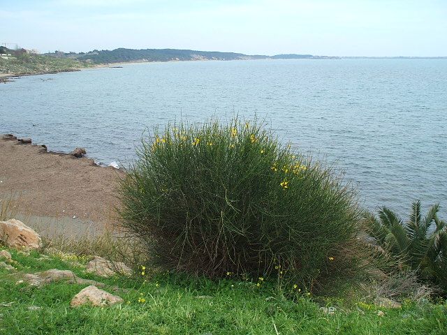 Appartamento in vendita a Isola di Capo Rizzuto