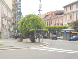 Negozio in affitto a Crotone