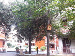 Appartamento in vendita a Cirò Marina