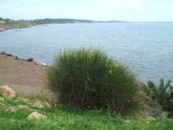 Appartamento in vendita a Isola di Capo Rizzuto