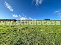 Terreno Agricolo in vendita a Caravaggio