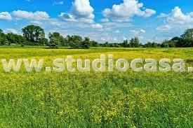 Terreno Agricolo in vendita a Caravaggio