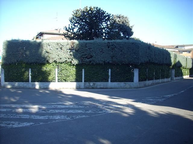 Villa Unifamiliare in vendita a Treviglio