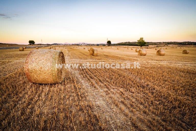 Terreno Agricolo in vendita a Caravaggio