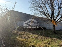 Terreno Agricolo in vendita a Quintano