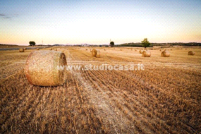 Terreno Agricolo in vendita a Caravaggio