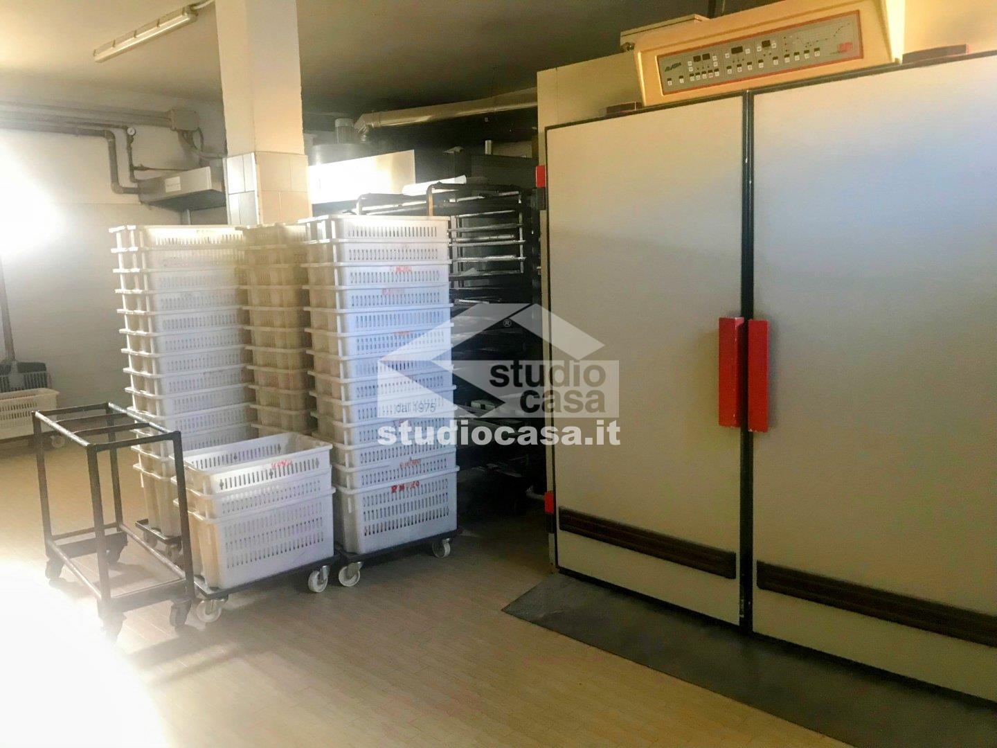 Laboratorio in vendita a San Bassano