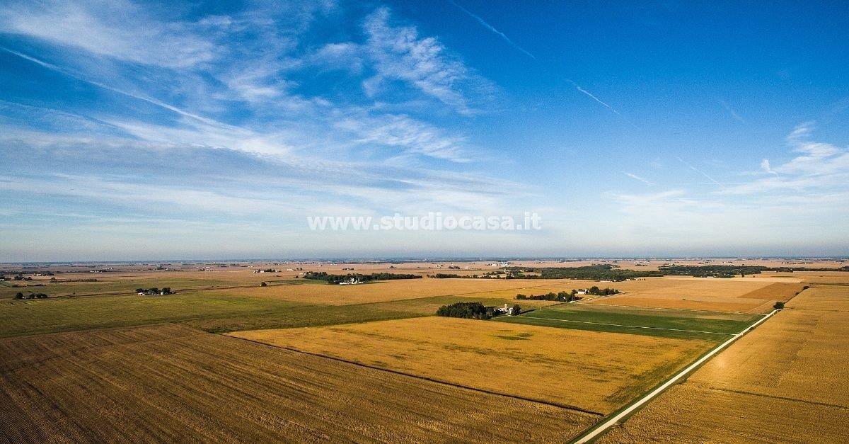 Terreno Agricolo in vendita a Ripalta Arpina