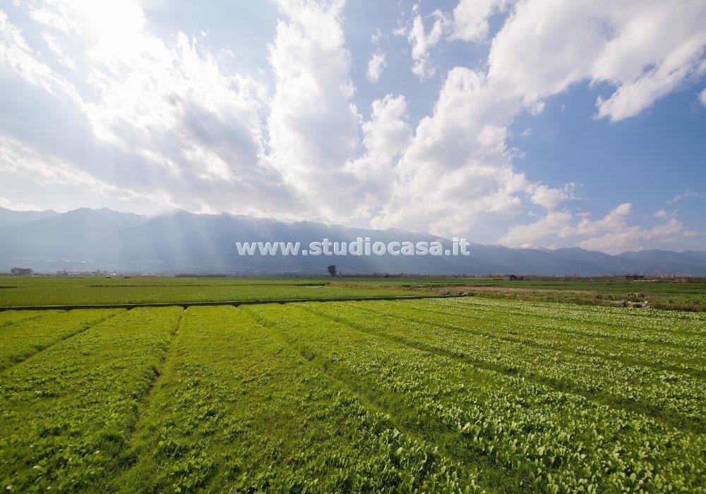 Terreno Agricolo in vendita a Ripalta Arpina