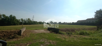 Terreno Agricolo in vendita a Ripalta Arpina