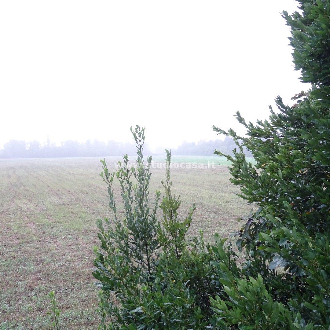 Casa Unifamiliare in vendita a Cremona