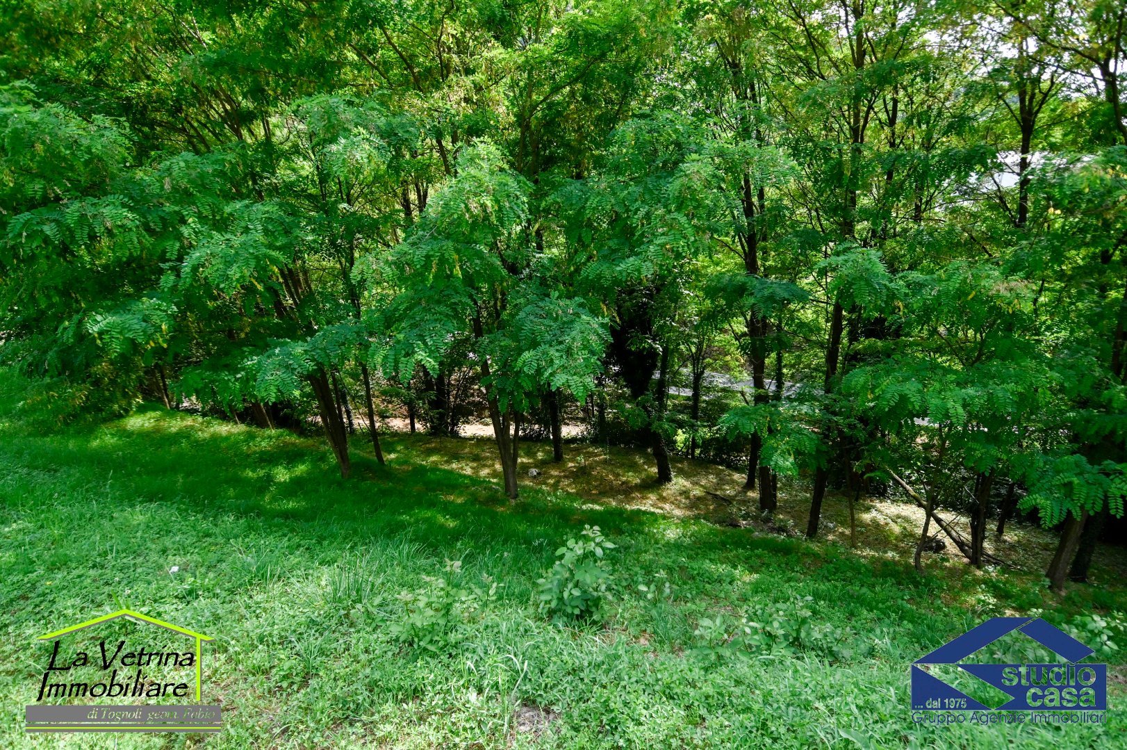 Terreno Residenziale in vendita a Pradalunga
