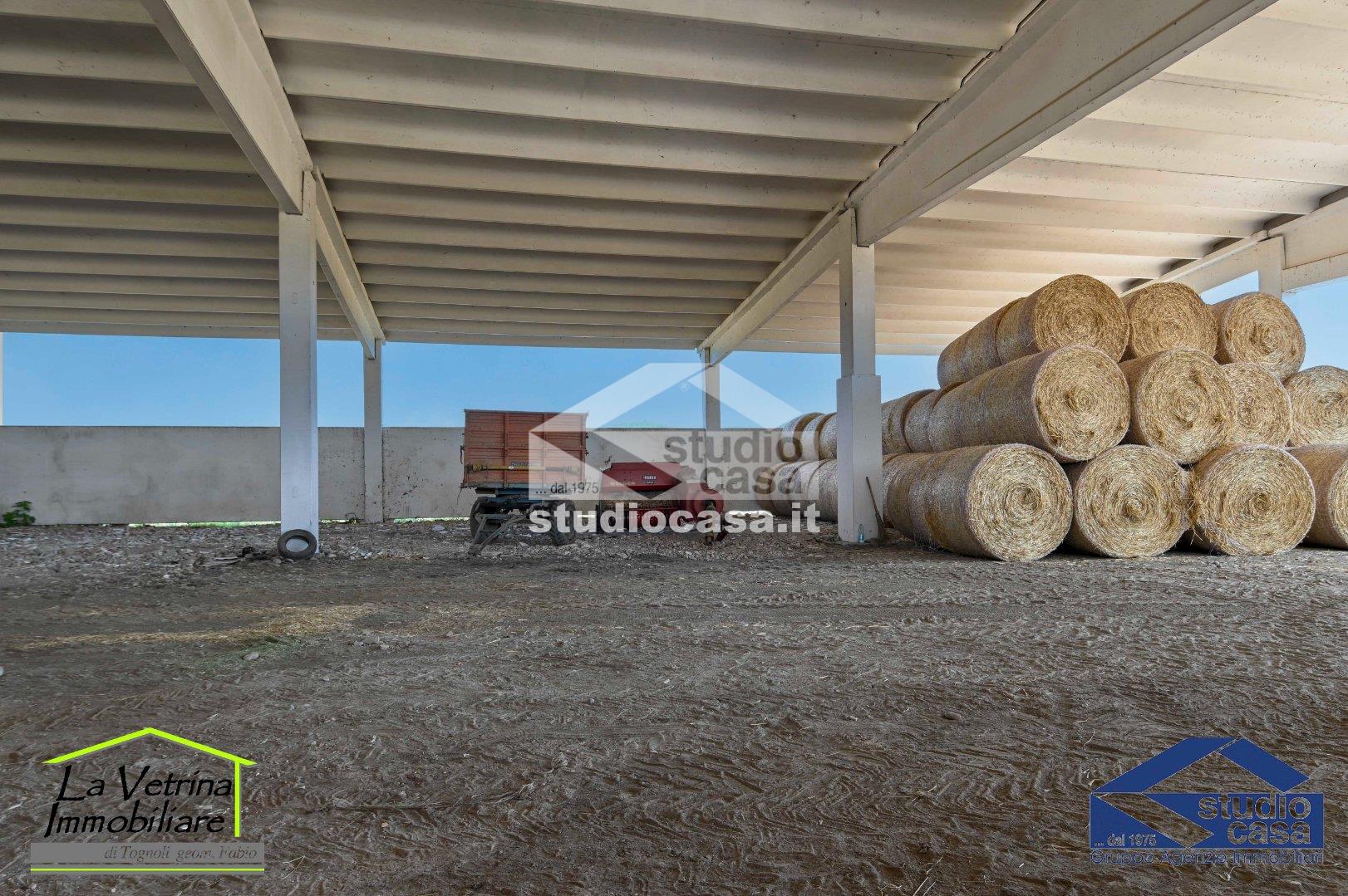 Capannone in affitto a Brusaporto