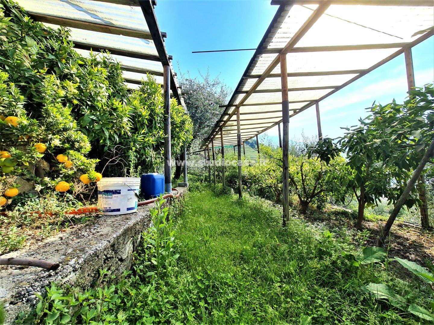 Terreno Agricolo in vendita a Riva del Garda