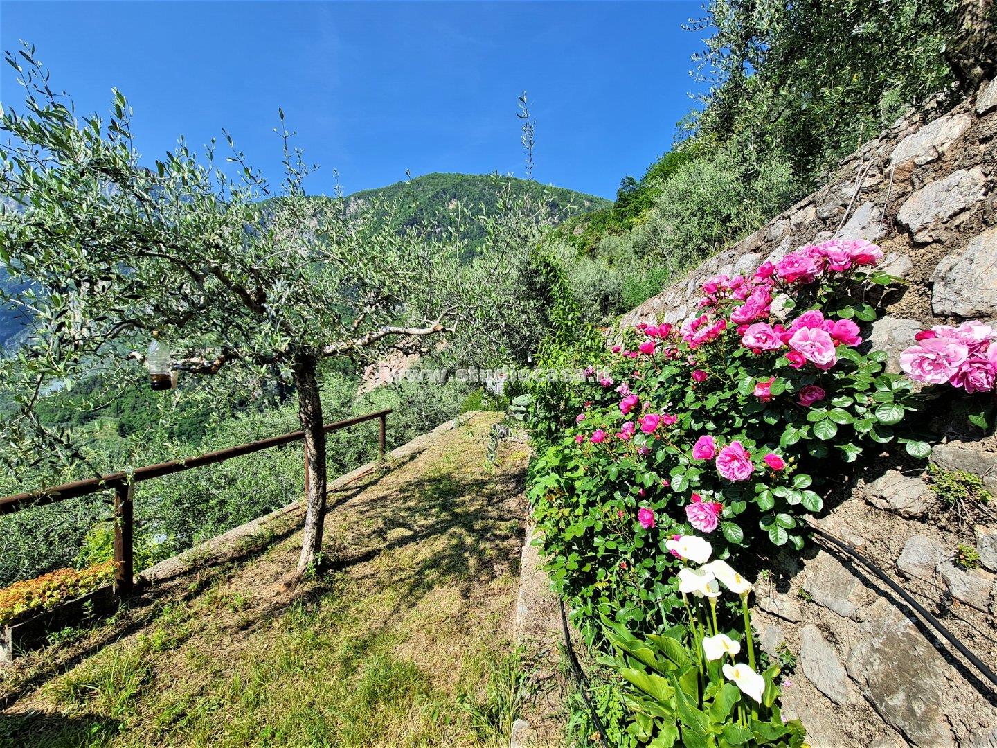 Terreno Agricolo in vendita a Riva del Garda