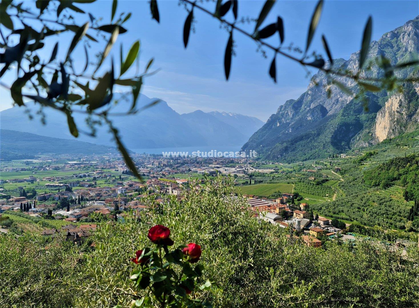 Terreno Agricolo in vendita a Tenno