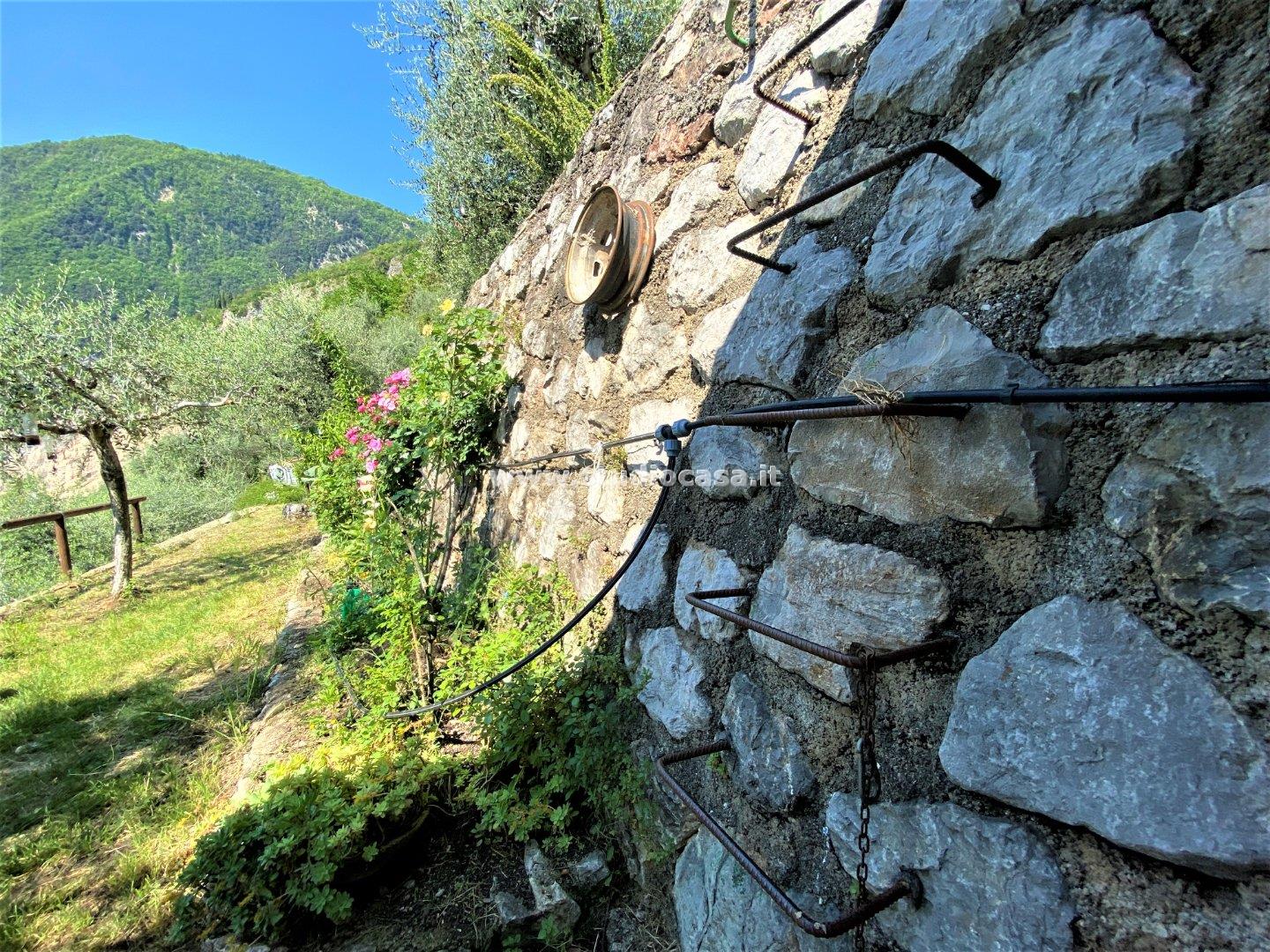 Terreno Agricolo in vendita a Tenno