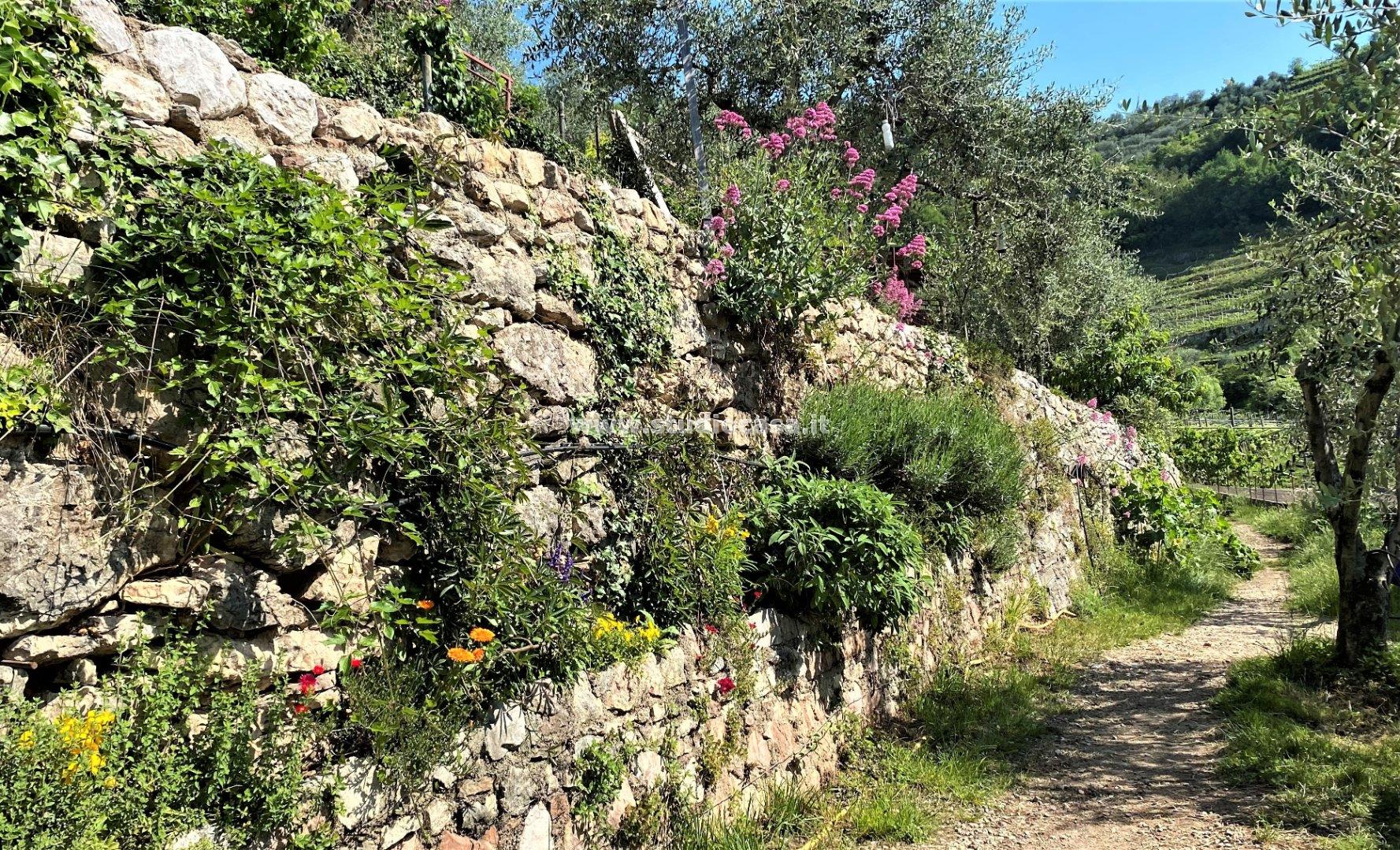 Terreno Agricolo in vendita a Tenno