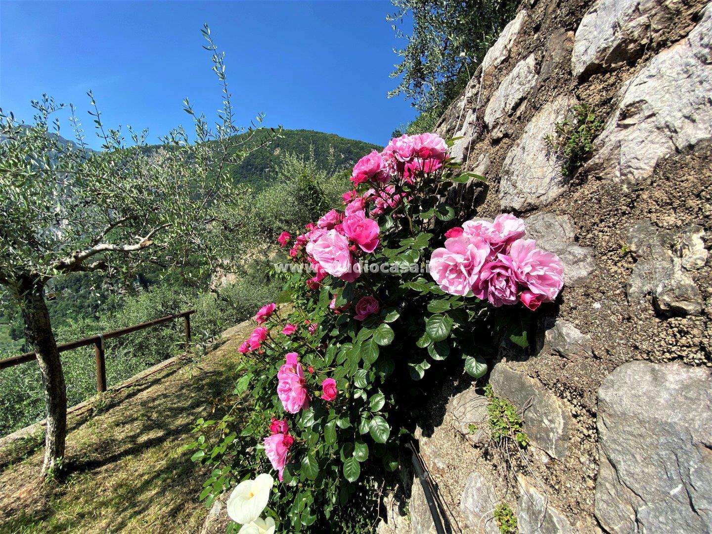 Terreno Agricolo in vendita a Tenno