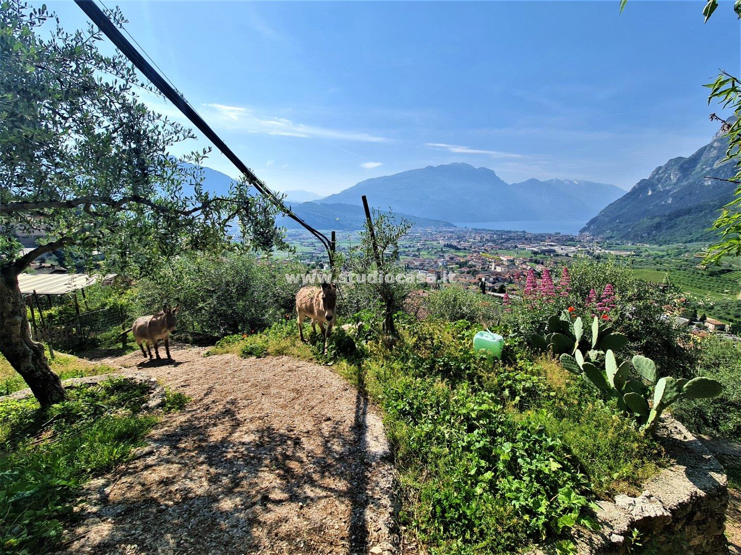 Terreno Agricolo in vendita a Tenno