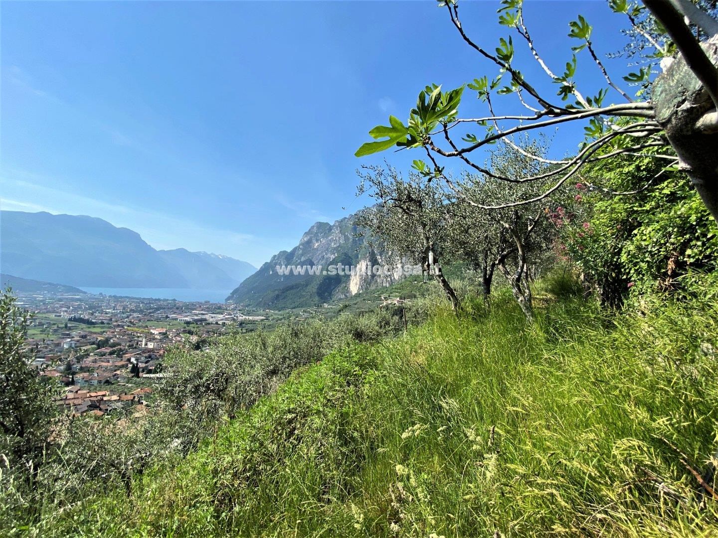 Terreno Agricolo in vendita a Tenno