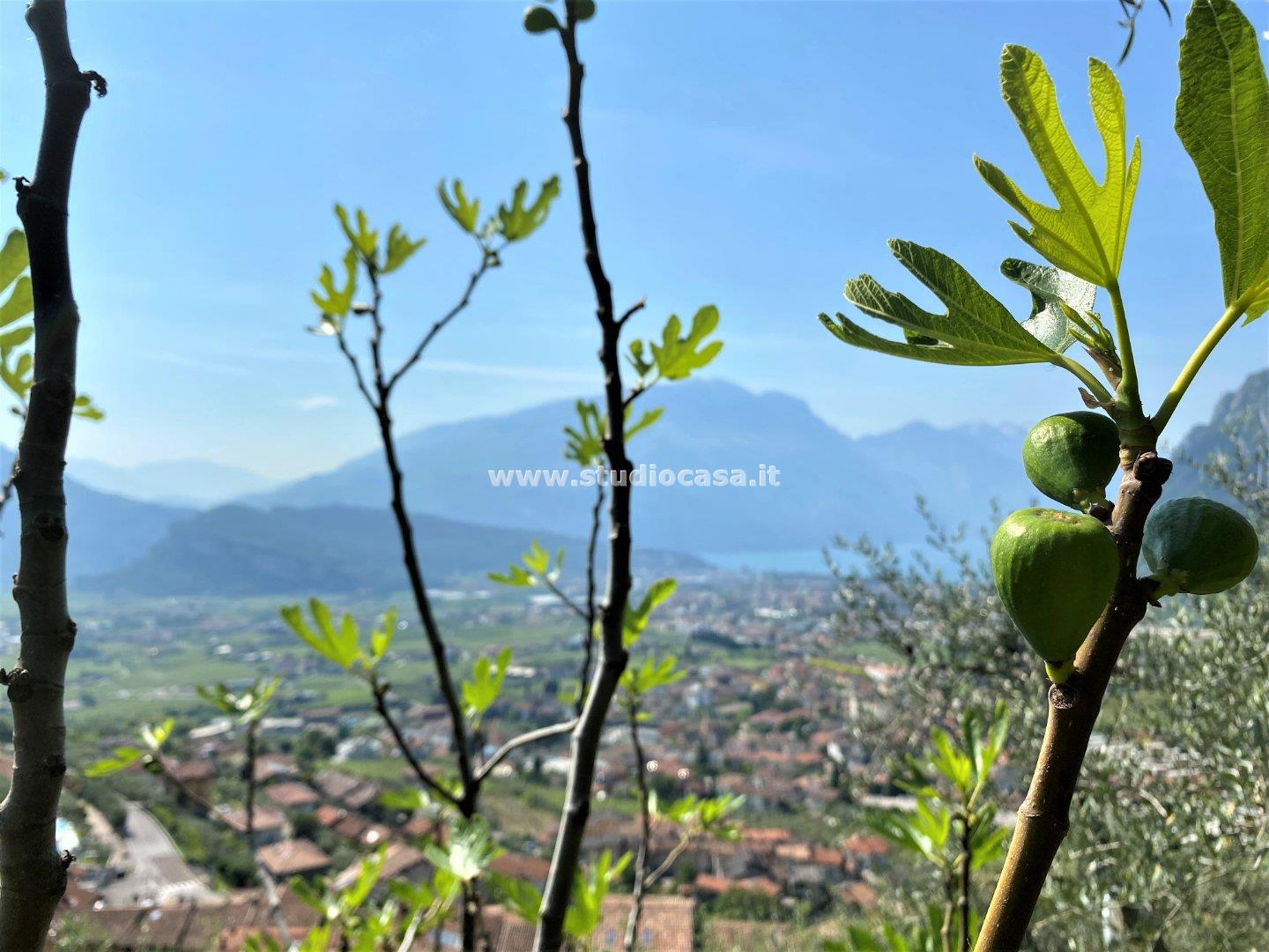 Terreno Agricolo in vendita a Tenno