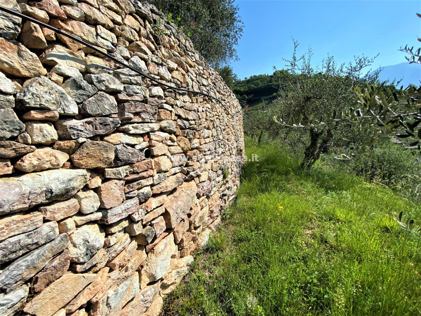 Terreno Agricolo in vendita a Tenno
