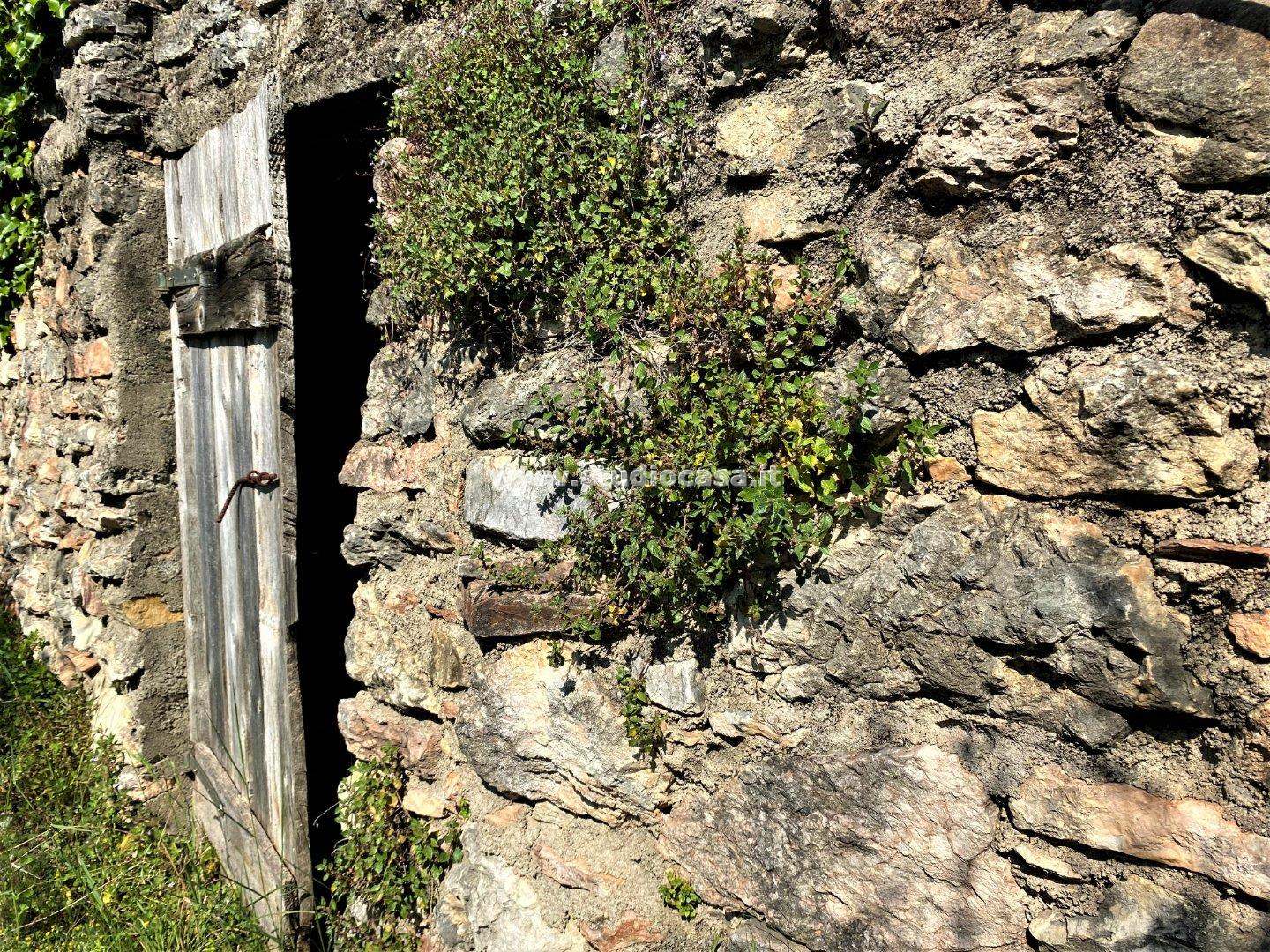 Terreno Agricolo in vendita a Tenno