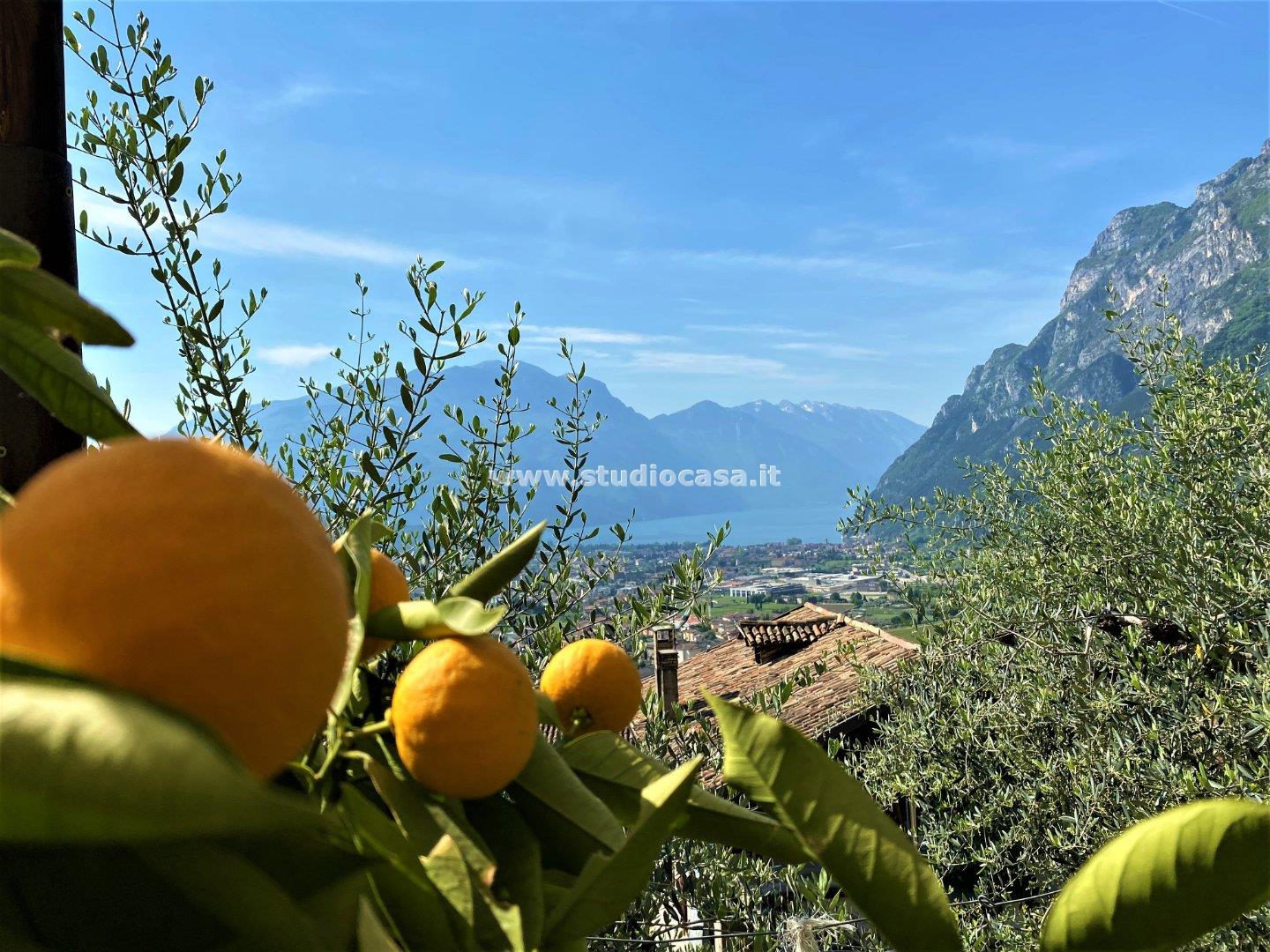 Terreno Agricolo in vendita a Tenno