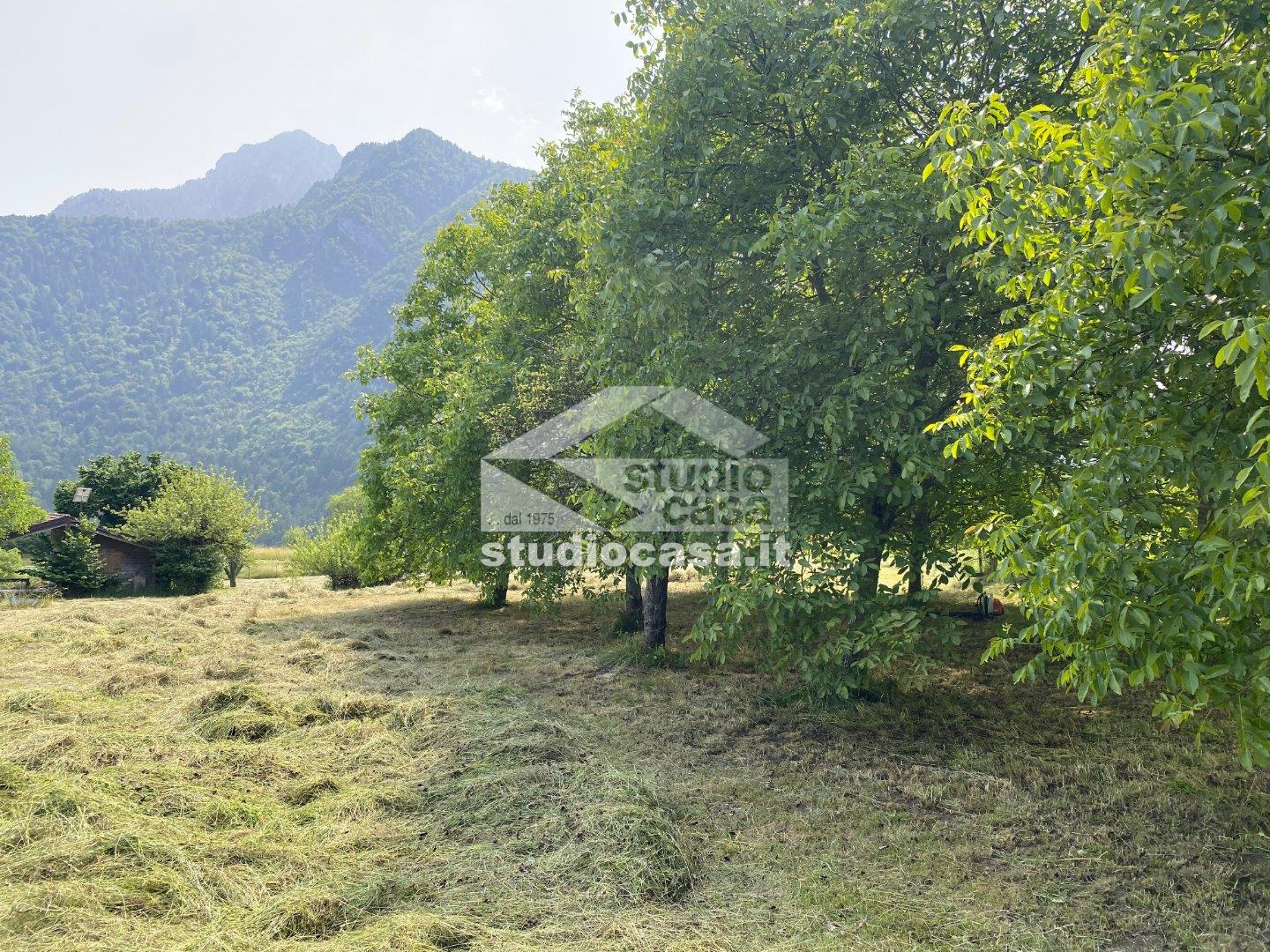 Terreno Agricolo in vendita a Ledro