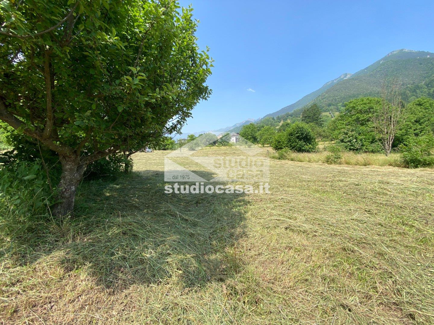Terreno Agricolo in vendita a Ledro