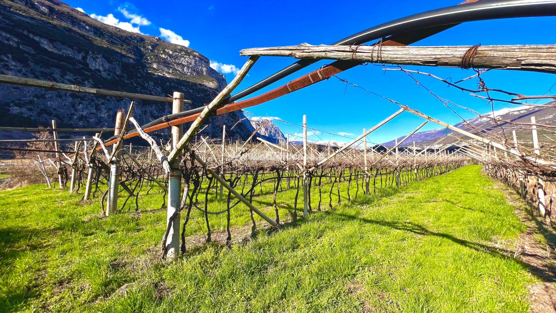 Terreno Agricolo in vendita a Dro