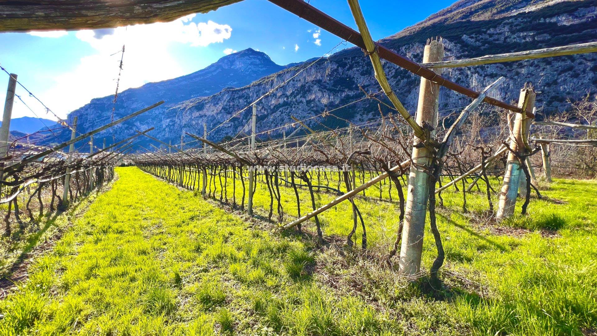 Terreno Agricolo in vendita a Dro