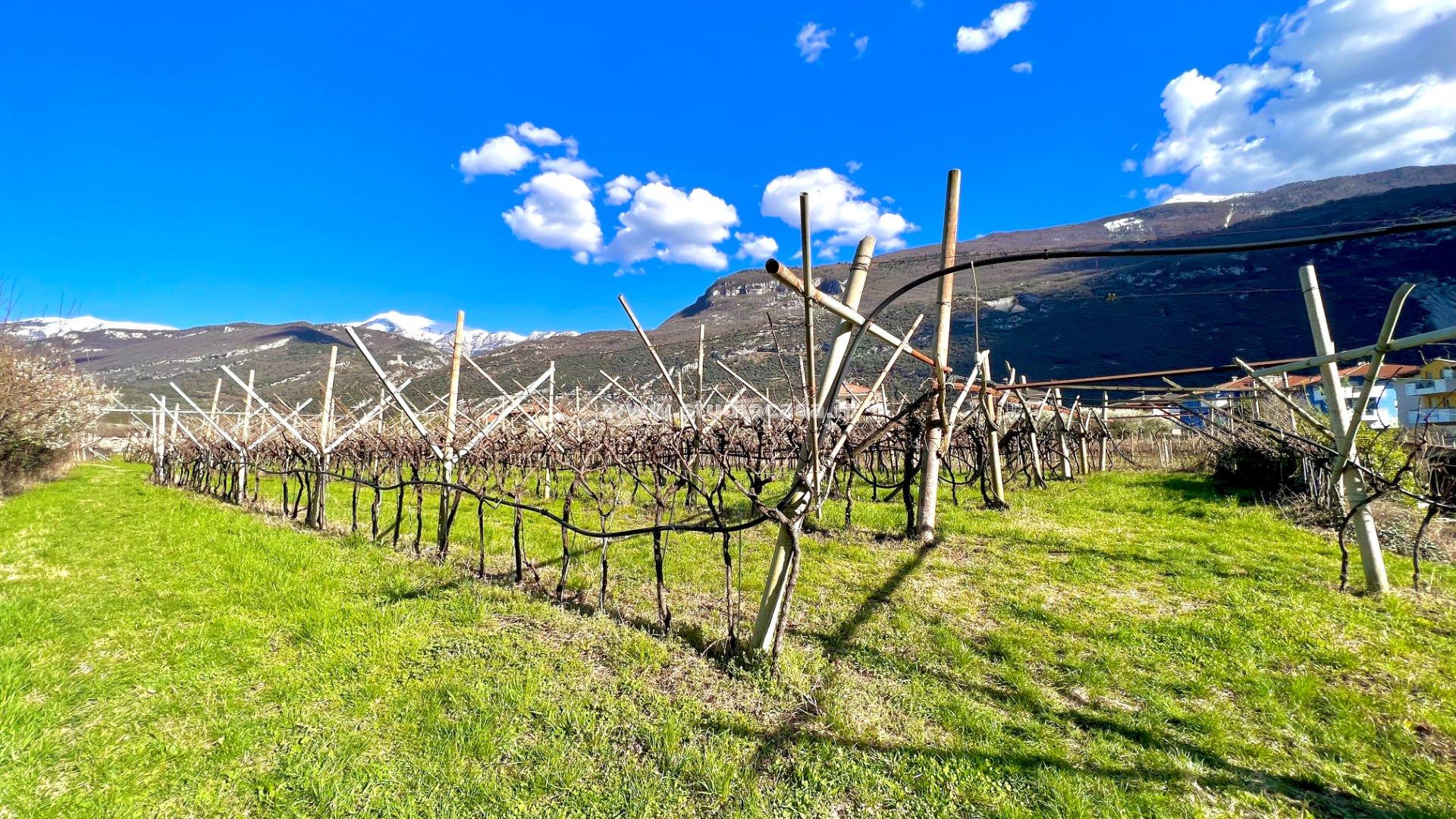 Terreno Agricolo in vendita a Dro