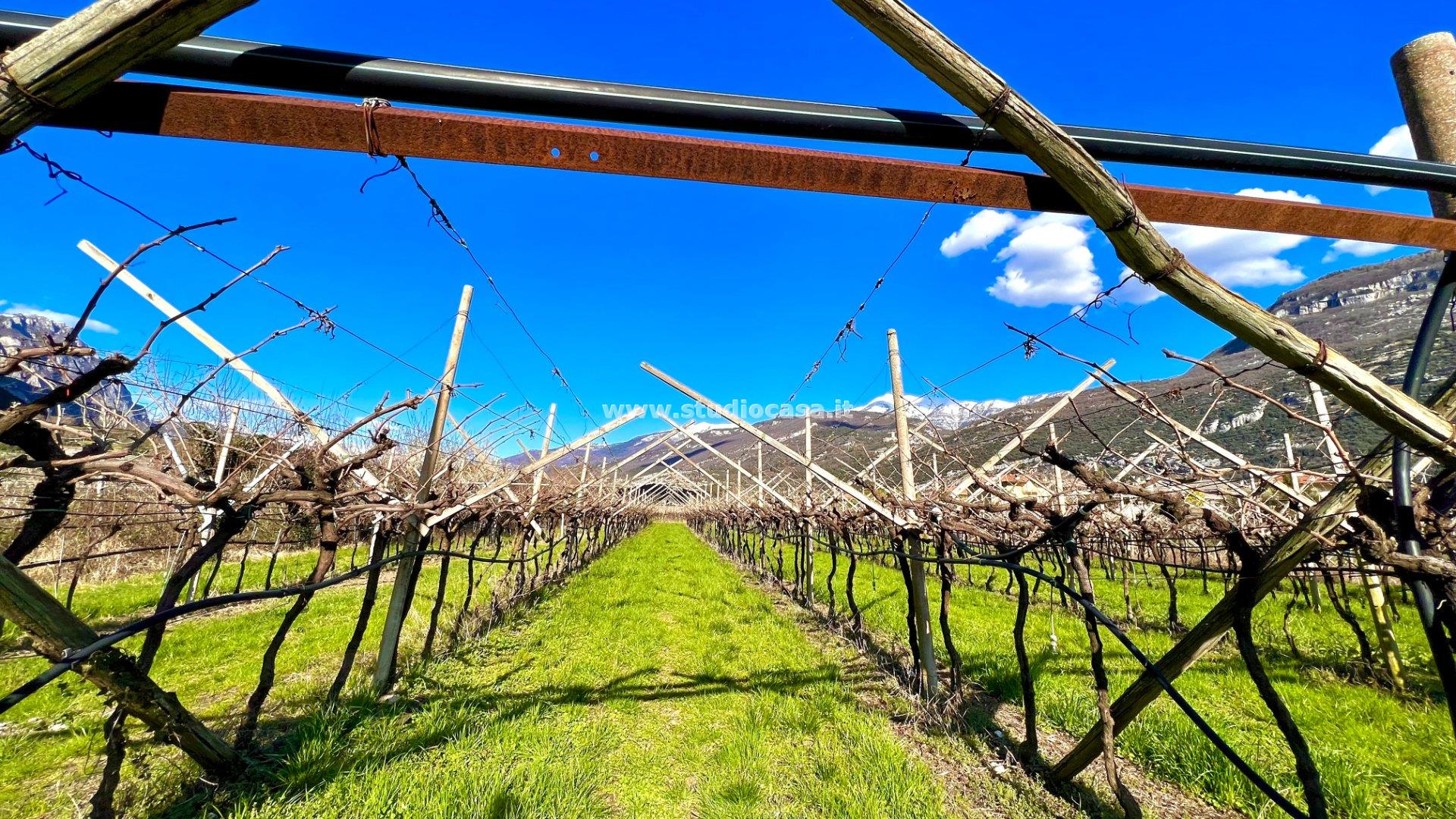 Terreno Agricolo in vendita a Dro
