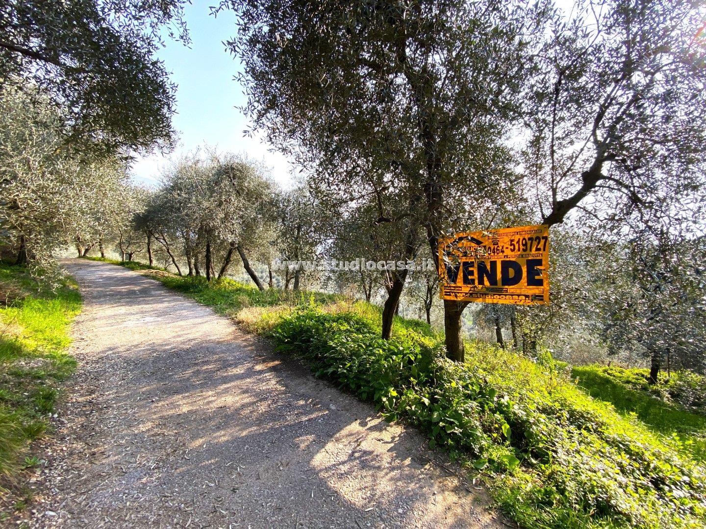 Terreno Agricolo in vendita a Arco