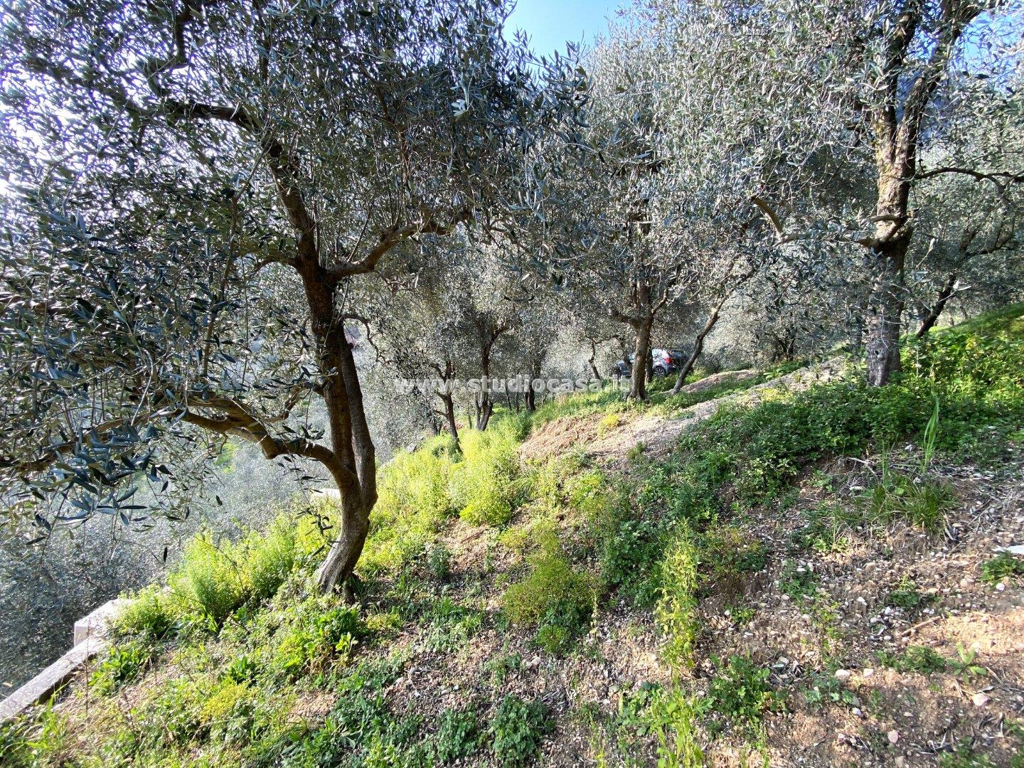 Terreno Agricolo in vendita a Arco