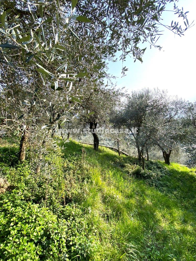 Terreno Agricolo in vendita a Arco