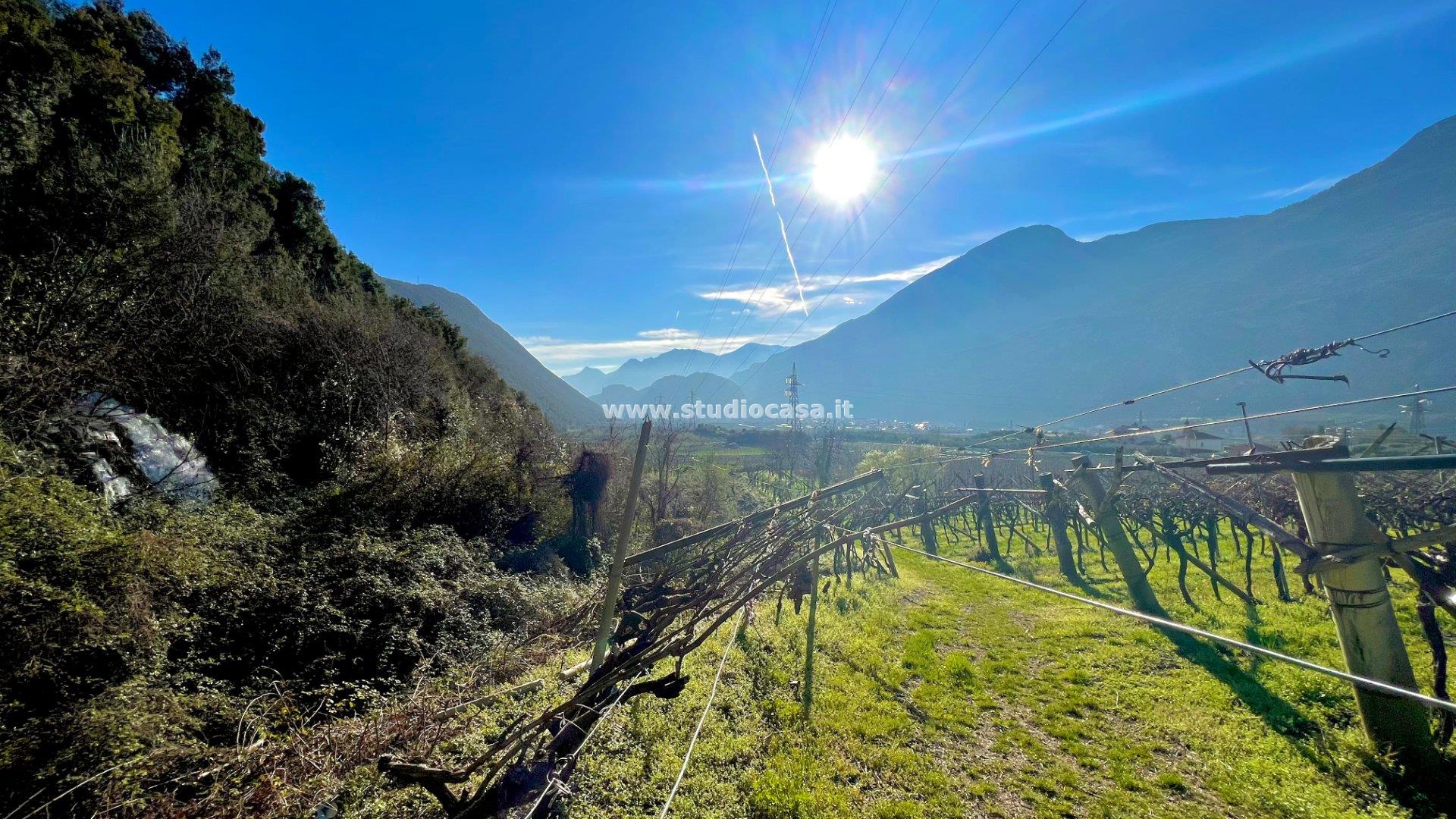 Terreno Agricolo in vendita a Dro
