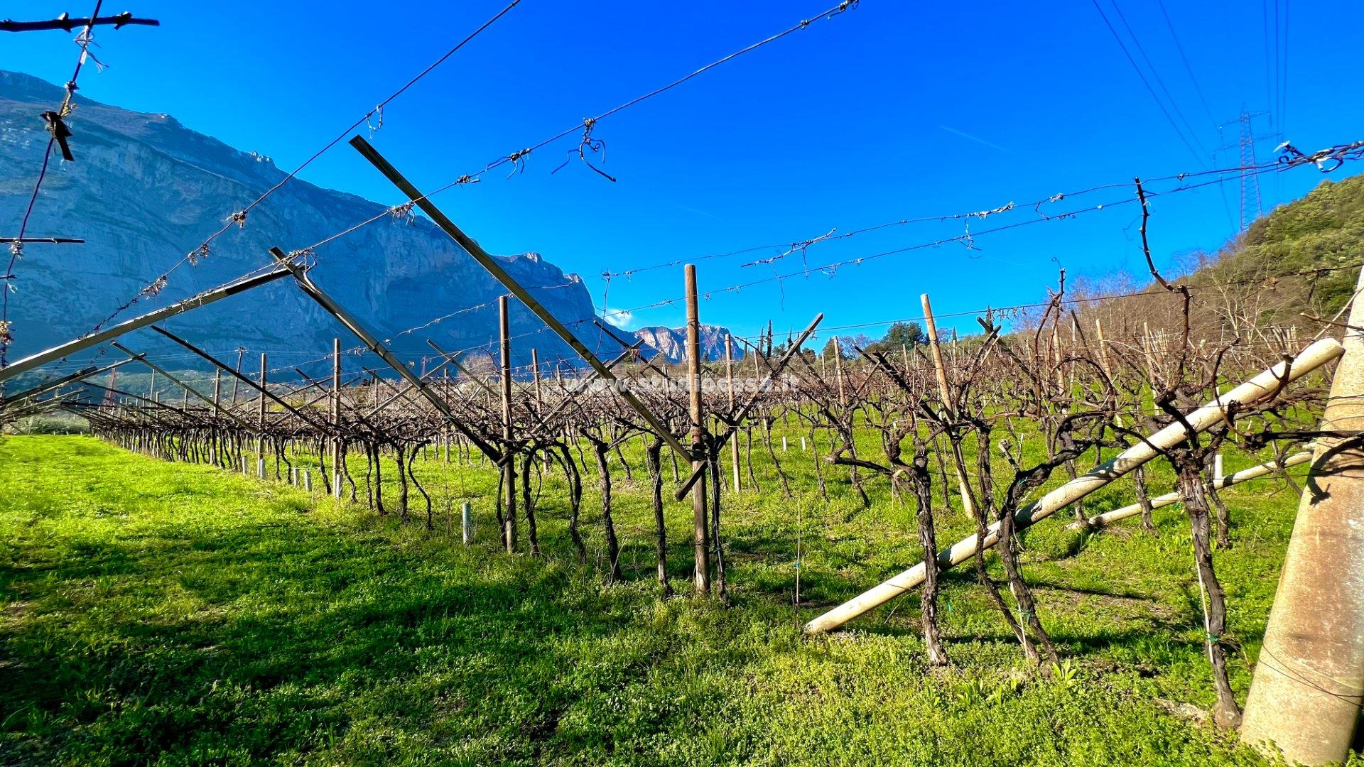 Terreno Agricolo in vendita a Dro