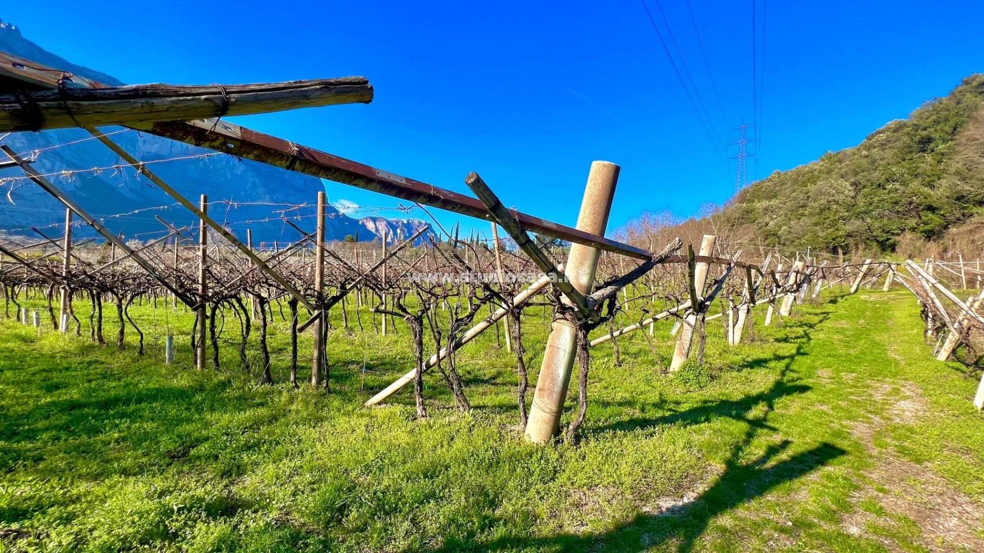 Terreno Agricolo in vendita a Dro