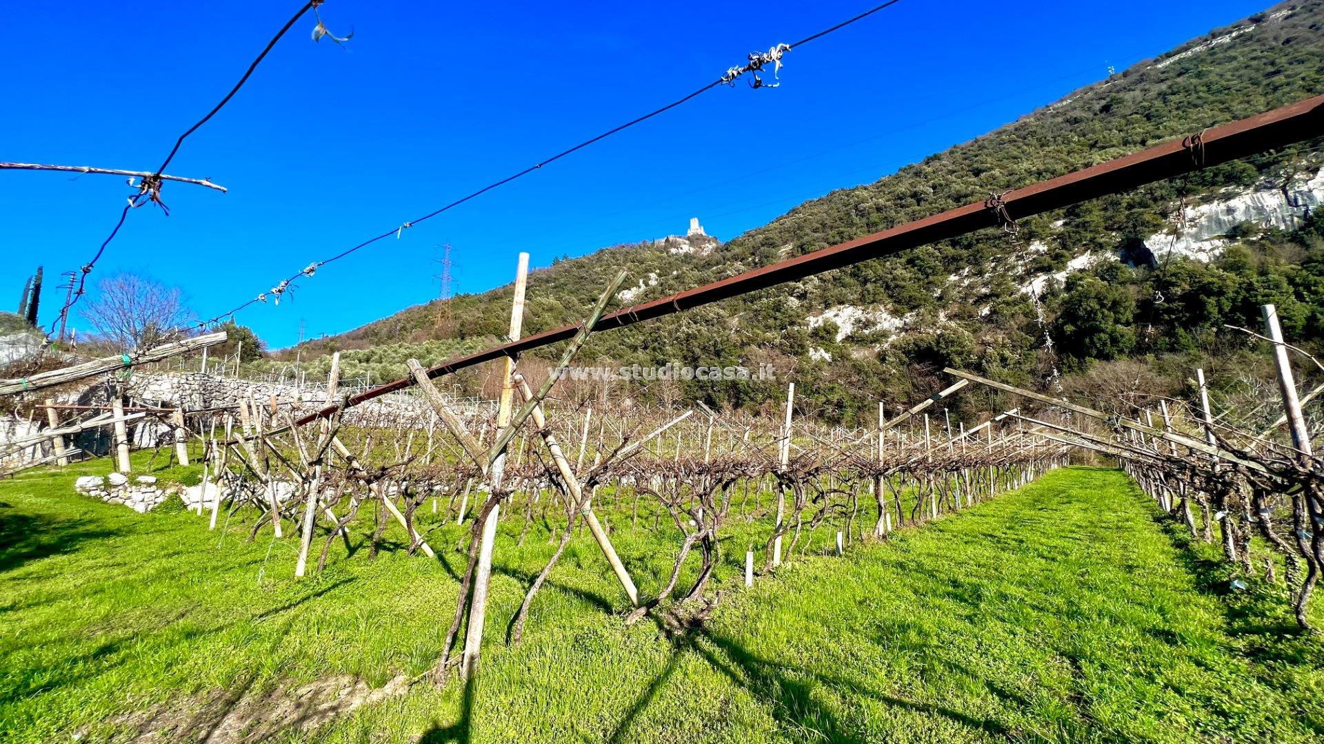 Terreno Agricolo in vendita a Dro