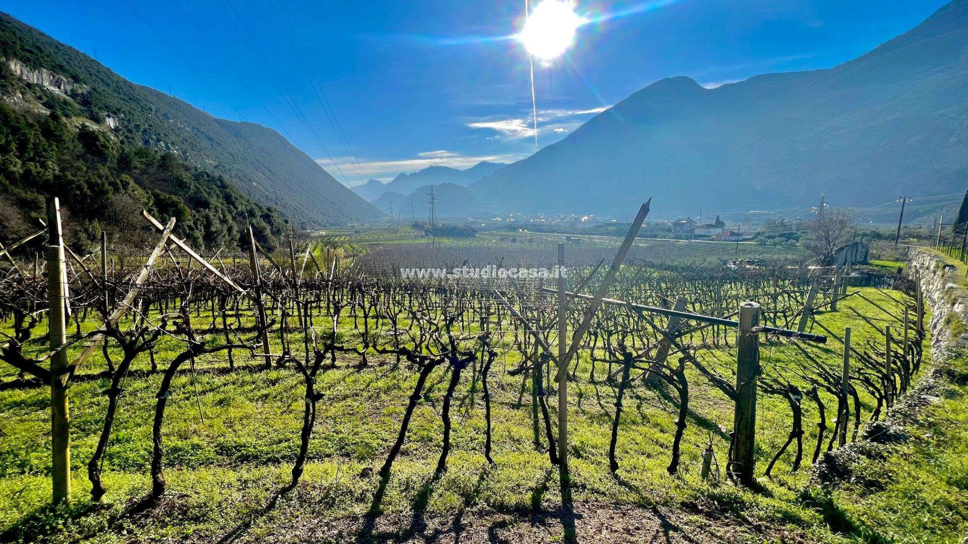 Terreno Agricolo in vendita a Dro