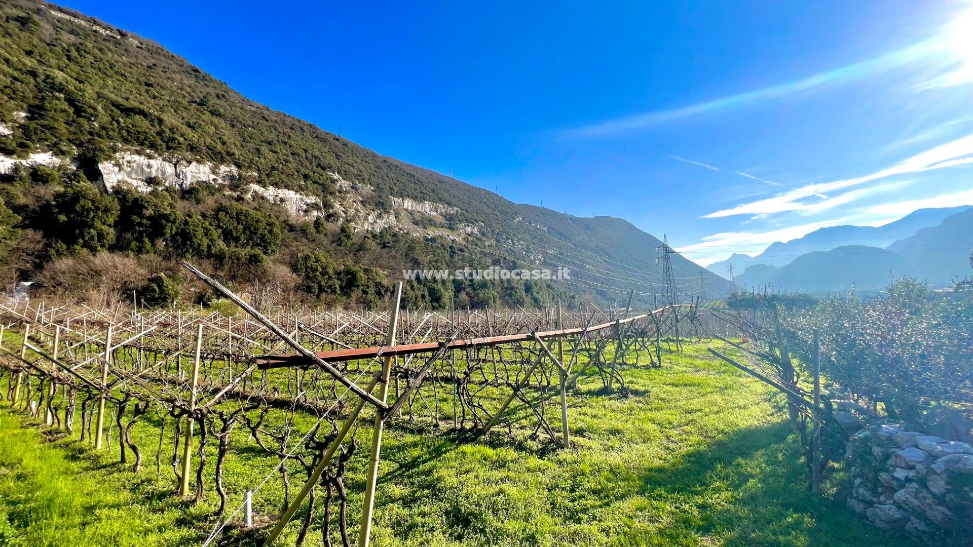 Terreno Agricolo in vendita a Dro