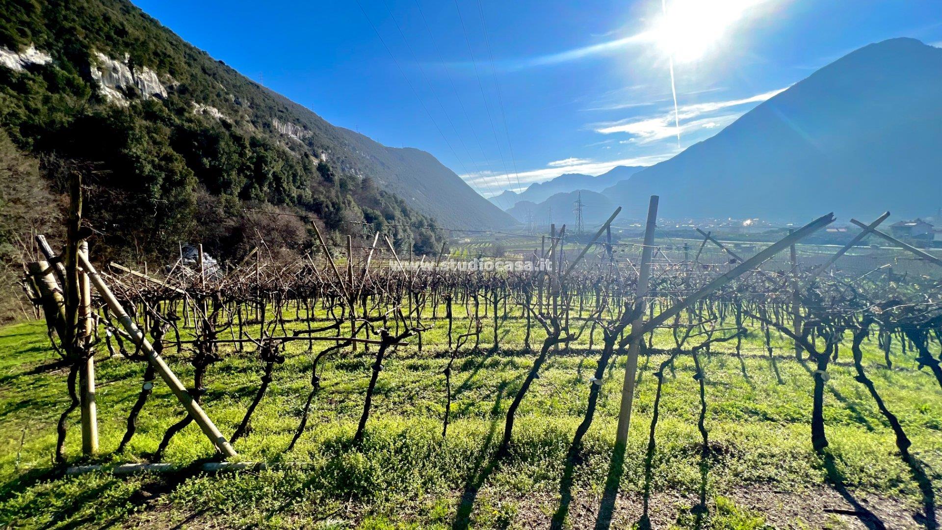 Terreno Agricolo in vendita a Dro