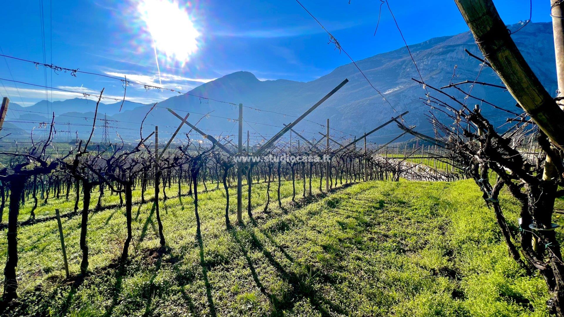 Terreno Agricolo in vendita a Dro